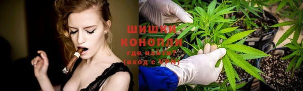 молекула духа Белоозёрский