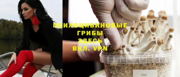 MDMA Белокуриха