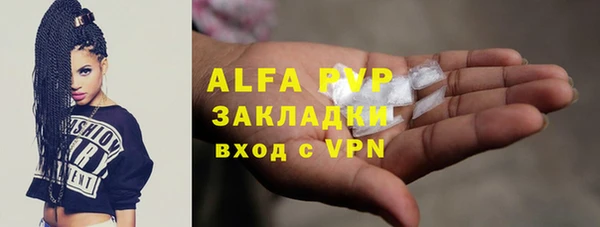 молекула духа Белоозёрский