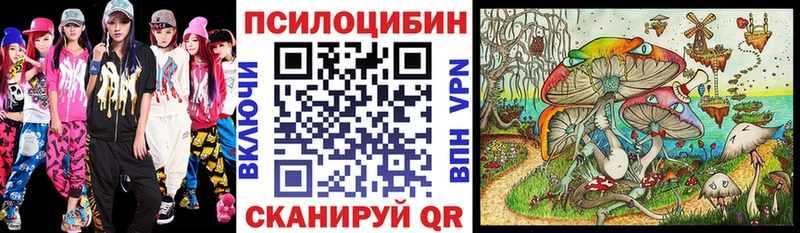цена   Купино  Псилоцибиновые грибы мицелий 